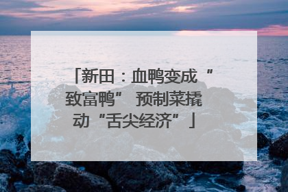新田：血鸭变成“致富鸭” 预制菜撬动“舌尖经济”