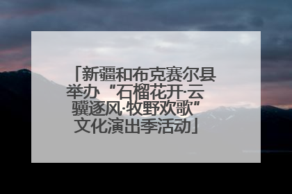 新疆和布克赛尔县举办“石榴花开·云骥逐风·牧野欢歌”文化演出季活动