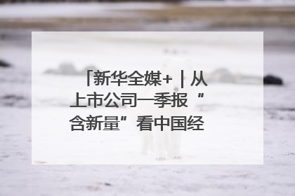 新华全媒+｜从上市公司一季报“含新量”看中国经济发展向“新”