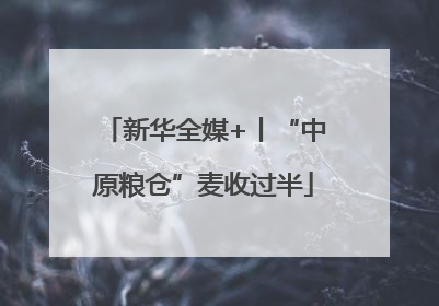 新华全媒+丨“中原粮仓”麦收过半