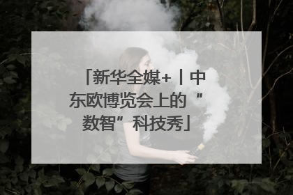新华全媒+丨中东欧博览会上的“数智”科技秀