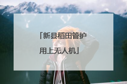 新县稻田管护用上无人机