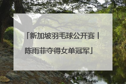 新加坡羽毛球公开赛丨陈雨菲夺得女单冠军