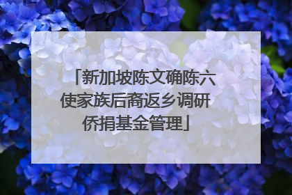 新加坡陈文确陈六使家族后裔返乡调研侨捐基金管理