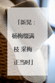 新晃：杨梅缀满枝 采梅正当时