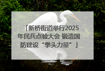 新桥街道举行2025年民兵点验大会 锻造国防建设“拳头力量”