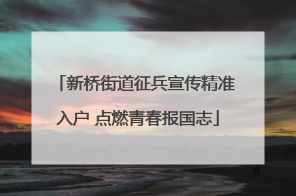新桥街道征兵宣传精准入户 点燃青春报国志