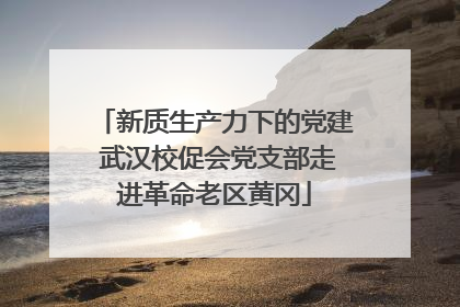 新质生产力下的党建 武汉校促会党支部走进革命老区黄冈