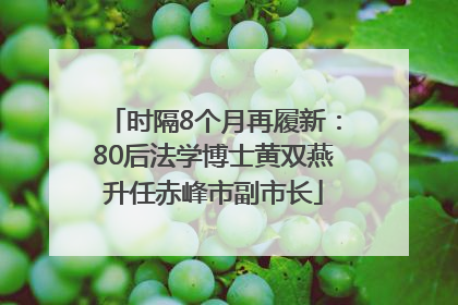 时隔8个月再履新：80后法学博士黄双燕升任赤峰市副市长