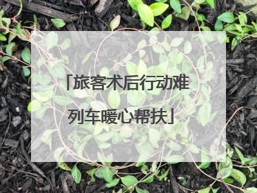 旅客术后行动难 列车暖心帮扶