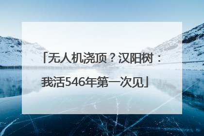无人机浇顶？汉阳树：我活546年第一次见