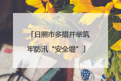 日照市多措并举筑牢防汛“安全堤”