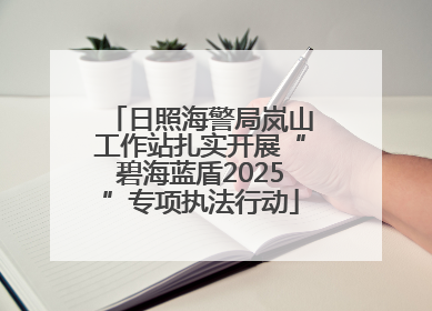 日照海警局岚山工作站扎实开展“碧海蓝盾2025”专项执法行动
