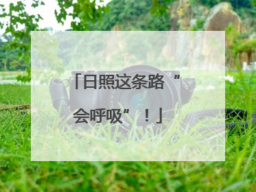 日照这条路“会呼吸”！
