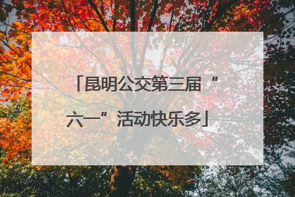 昆明公交第三届“六一”活动快乐多