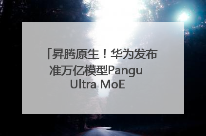 昇腾原生！华为发布准万亿模型Pangu Ultra MoE模型架构和训练细节