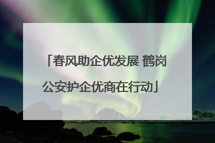春风助企优发展 鹤岗公安护企优商在行动