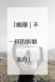 晚潮｜不一样的新塘龙舟
