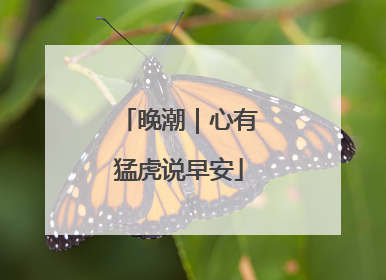 晚潮｜心有猛虎说早安