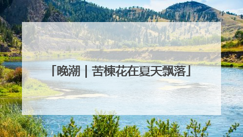 晚潮｜苦楝花在夏天飘落