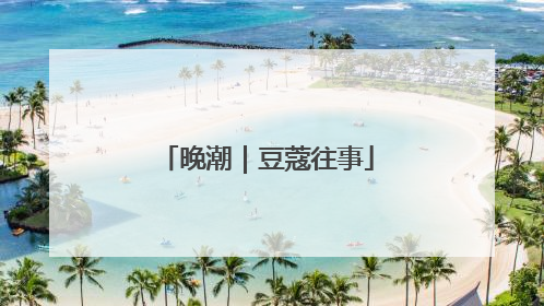晚潮｜豆蔻往事