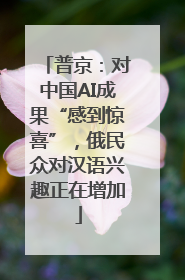普京：对中国AI成果“感到惊喜”，俄民众对汉语兴趣正在增加