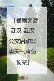暴雨突袭武汉 武汉公交启动恶劣天气应急预案