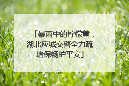暴雨中的柠檬黄，湖北应城交警全力疏堵保畅护平安