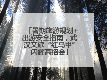 暑期旅游规划+出游安全指南，武汉文旅“红马甲”闪耀高招会