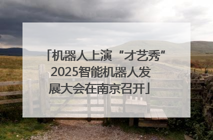 机器人上演“才艺秀” 2025智能机器人发展大会在南京召开
