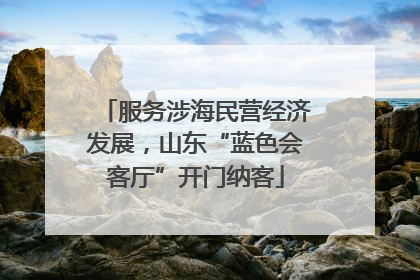 服务涉海民营经济发展，山东“蓝色会客厅”开门纳客