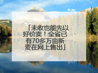 未收也能先以好价卖！全省已有70多万亩新麦在网上售出