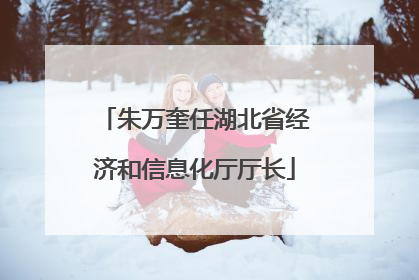朱万奎任湖北省经济和信息化厅厅长
