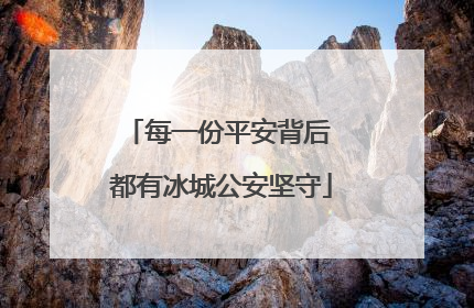 每一份平安背后 都有冰城公安坚守