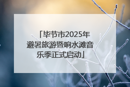 毕节市2025年避暑旅游暨响水滩音乐季正式启动