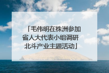 毛伟明在株洲参加省人大代表小组调研北斗产业主题活动