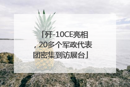 歼-10CE亮相，20多个军政代表团密集到访展台