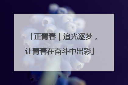 正青春｜追光逐梦，让青春在奋斗中出彩