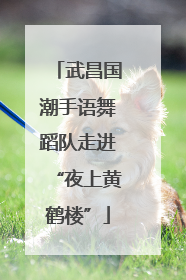 武昌国潮手语舞蹈队走进“夜上黄鹤楼”
