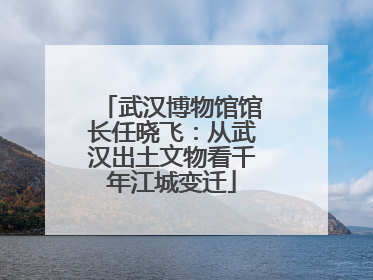 武汉博物馆馆长任晓飞：从武汉出土文物看千年江城变迁