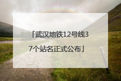 武汉地铁12号线37个站名正式公布