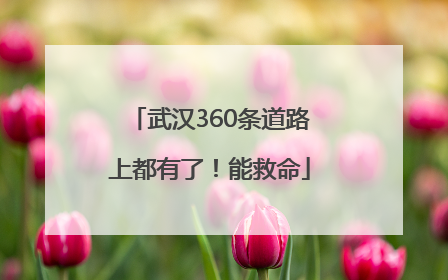 武汉360条道路上都有了！能救命