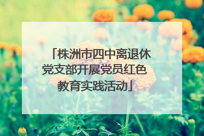 株洲市四中离退休党支部开展党员红色教育实践活动