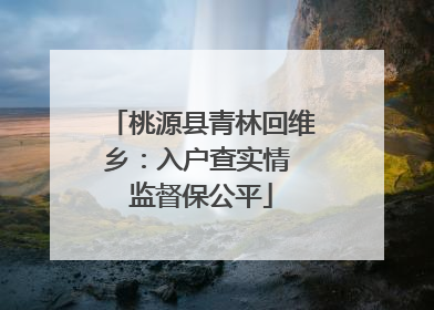 桃源县青林回维乡：入户查实情 监督保公平