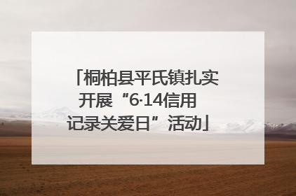 桐柏县平氏镇扎实开展“6·14信用记录关爱日”活动