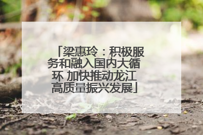 梁惠玲：积极服务和融入国内大循环 加快推动龙江高质量振兴发展