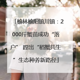 榆林榆阳镇川镇：2000斤蟹苗成功“落户” 蹚出“稻蟹共生”生态种养新路径