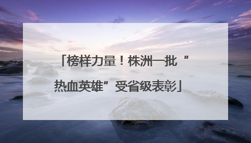 榜样力量！株洲一批“热血英雄”受省级表彰
