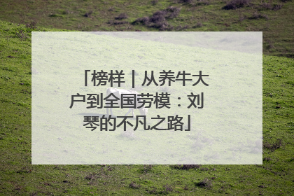 榜样｜从养牛大户到全国劳模：刘琴的不凡之路