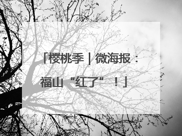 樱桃季｜微海报：福山“红了”！